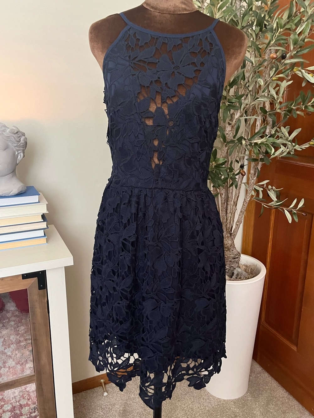 love...ady Navy Floral Lace High-Neck Mini Dress